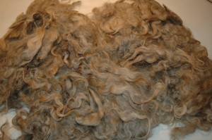 Image00035